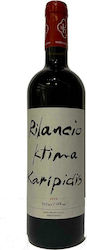 Κτήμα Καριπίδη Βιολογικό Rilancio Ερυθρό Ξηρό 750ml Κτήμα Καριπίδη Βιολογικό Rilancio Ερυθρό Ξηρό 750ml