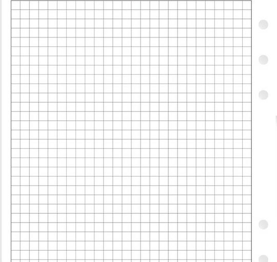 Filofax Ανταλλακτικές Κόλλες A5 25 Φύλλων Καρέ Λευκές