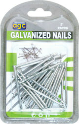 AGC Nail 25pcs 2"