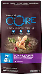 Wellness Core Puppy Original Large 2.75kg Dry Food Grain-Free for Large Breed Puppies with Turkey and Chicken Wellness Core Puppy Original Large 2.75kg Dry Food Grain-Free for Large Breed Puppies with Turkey and Chicken
