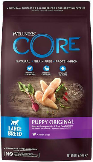 Wellness Core Puppy Original Large 2.75kg Dry Food Grain-Free for Large Breed Puppies with Turkey and Chicken