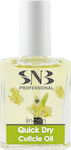 SNB Nail Oil for Cuticles with Brush Quick Dry Linden flavour 15ml