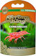Dennerle King Cambarellus Shrimp Food Sticks with Spirulina 45gr