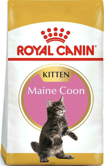 Royal Canin Maine Coon Kitten Суха Храна за Млади Котки с Птици / Ориз 10кг