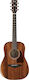Ibanez Ακουστική Κιθάρα AW54JR Open Pore Natural