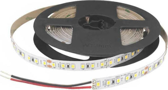 Cubalux Bandă LED 24V Alb Natural Lumină 5m Tip COB