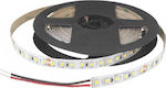 Cubalux Bandă LED Alimentare 24V cu Lumină Alb Rece Lungime 5m și 120 LED-uri pe Metru