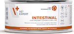 VetExpert Intestinal Cat Wet Food for Adult Cats with Gastrointestinal Disorders In Can with 1pc 100gr