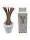 Ghiveci Set de Furculițe Fructe/Desert Multicolore 9buc
