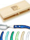 Claude Dozorme Laguiole Löffelset Abendessen Edelstahl Blue Green 6Stück