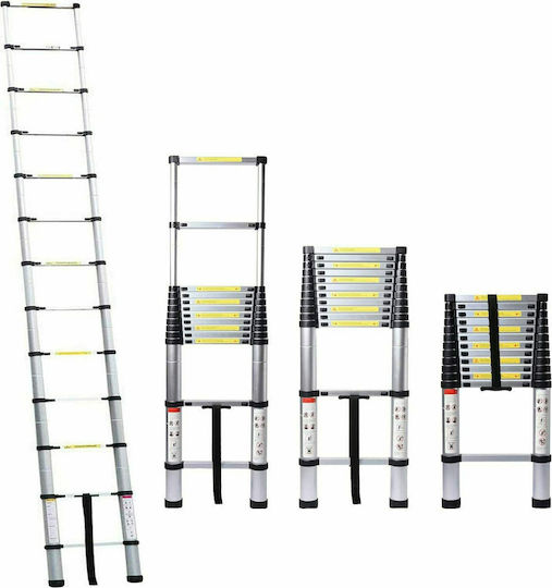 Telescopic Ladder Aluminum 10 of Steps with Maximum Height 2.9m