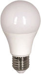 Eurolamp LED Bulbs for Socket E27 and Shape A60 Cool White 1521lm 1pcs