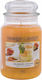 Yankee Candle Scented Candle Jar with Scent Calamansi Cocktail Orange 623gr 1pcs