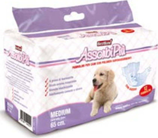Record Assorbi Piu Dog Panties Medium - 65cm 12pcs
