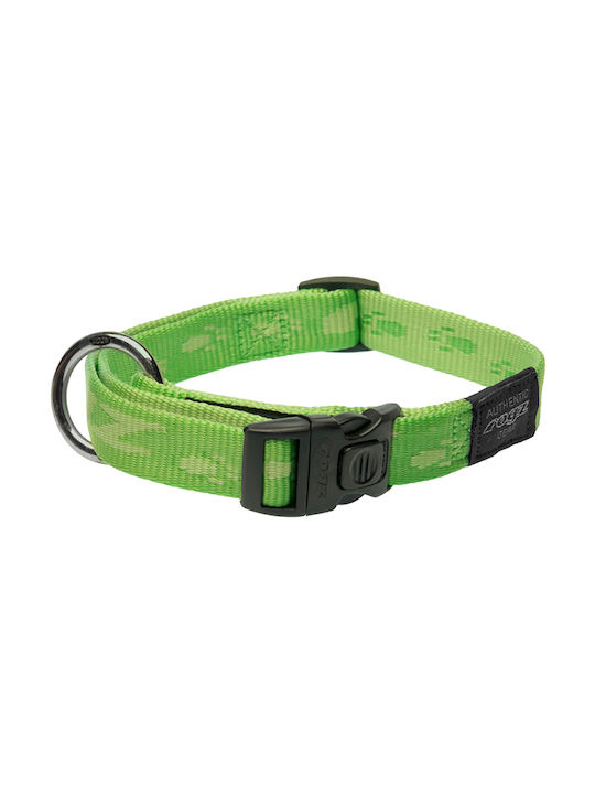 Rogz Alpinist Hundehalsband in Grün Farbe Halsband LG