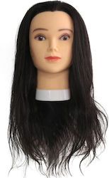 Various Educational Doll