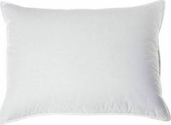 Freebox Sleep Pillow Hollowfiber Soft 48x76cm