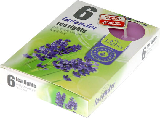 Viosarp Tealights with Scent Lavender in Purple Color 6pcs