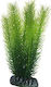 Hobby Aquaristik Mayaca Decorațiune Plantă artificială Acvariu