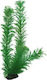 Hobby Aquaristik Egeria Декоративно Изкуствено растение за Аквариум 41512 9284