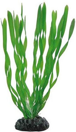 Hobby Aquaristik Vallisneria Διακοσμητικό Τεχνητό Φυτό Ενυδρείου