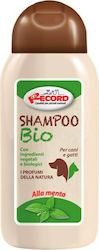 Record Bio 250мл