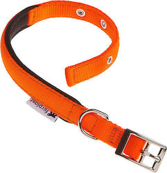 Ferplast Daytona Hundehalsband in Orange Farbe