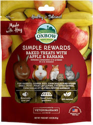 Oxbow Behandelt Für Nagetier Simple Rewards Gebacken 56gr Oxbow Behandelt Für Nagetier Simple Rewards Gebacken 56gr