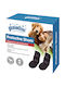 Pawise Shoes Dog Dog Boots XL 21.5x18cm Black in Black Color