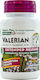 Nature's Plus Herbal Actives Valerian Extended Release 600mg 30 ταμπλέτες