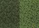 Rainbow Carton Floral 50x70cm. Verde