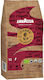 Lavazza Espresso Coffee Expert Intenso Grains 1x1000gr