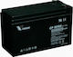 Vision CP1270E UPS-Batterie mit Kapazität 7Ah und Spannung 12V