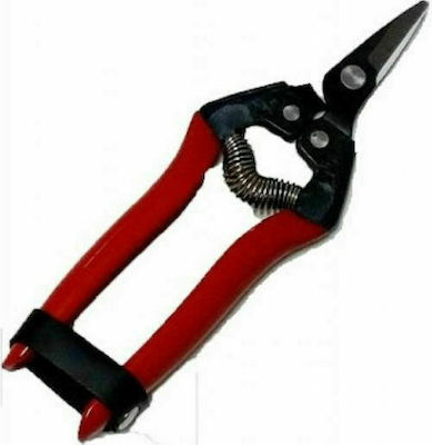 Viopsec Pruning Shears Grape