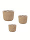 Set of Decorative Baskets Rattan Brown 3pcs Espiel