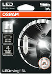 Osram Λάμπα Αυτοκινήτου & Μοτοσυκλέτας Ledriving SL C5W LED 6000K Ψυχρό Λευκό 12V 0.6W 1τμχ