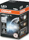 Osram Lamps Car LEDriving SL PS19W LED 6000K Cold White 12V 1.6W 1pcs