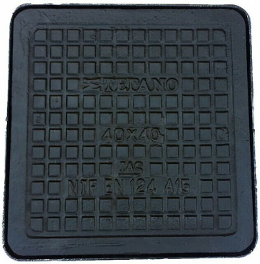 Ias Κανάλι αποχέτευσης Gusseisen 60x60cm A15 UMA60
