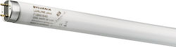 Sylvania Fluorescent Lamp for Socket G5 with Shape T8 58W