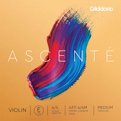 Daddario Ascente Medium Daddario Ascente Medium