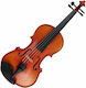 F.Ziegler VM110H VM110H 4/4 Violin with Case and Bow