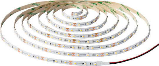 Evivak LED Strip 12V Red Light 5m Type SMD5050