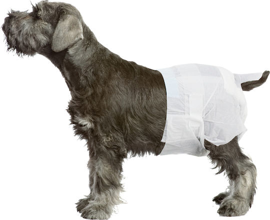 Pawise Female Dogs Пелени за кучета 6,4-8,9kg Large 6.5см 12бр