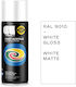 Cosmos Lac Σπρέι Βαφής Fast Acrylic με Ματ Εφέ ...
