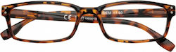 Zippo Γυαλιά Πρεσβυωπίας +3.00 σε Καφέ χρώμα 31...