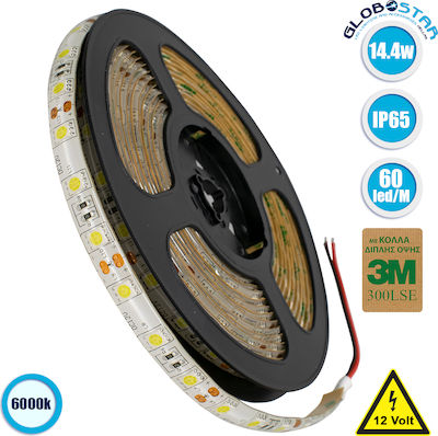 GloboStar Waterproof LED Strip Power Supply 12V with Cold White Light Length 5m and 60 LEDs per Meter SMD5050