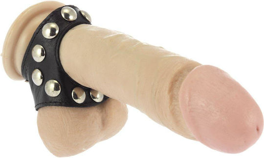 Rimba Leather Penis Strap with Studs Adjustable Black