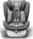 Lionelo Bastian One Scaun Auto pentru Copii cu Isofix Grey Graphite 0-36 kg