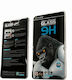 X-One Ματ Full Face Tempered Glass (iPhone 12 mini)