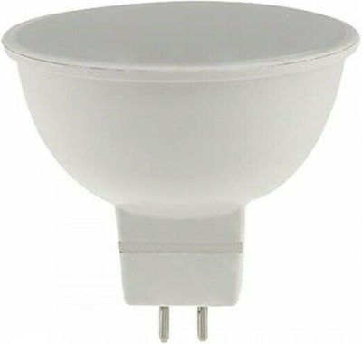 Eurolamp LED Bulbs for Socket GU5.3 and Shape MR16 Cool White 480lm 1pcs